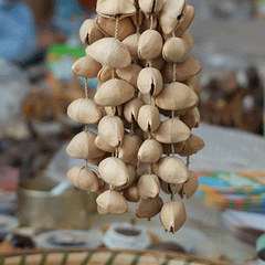 Chacha Seeds (Alstonia Scholaris / Devil Tree) - natural seeds close-up texture