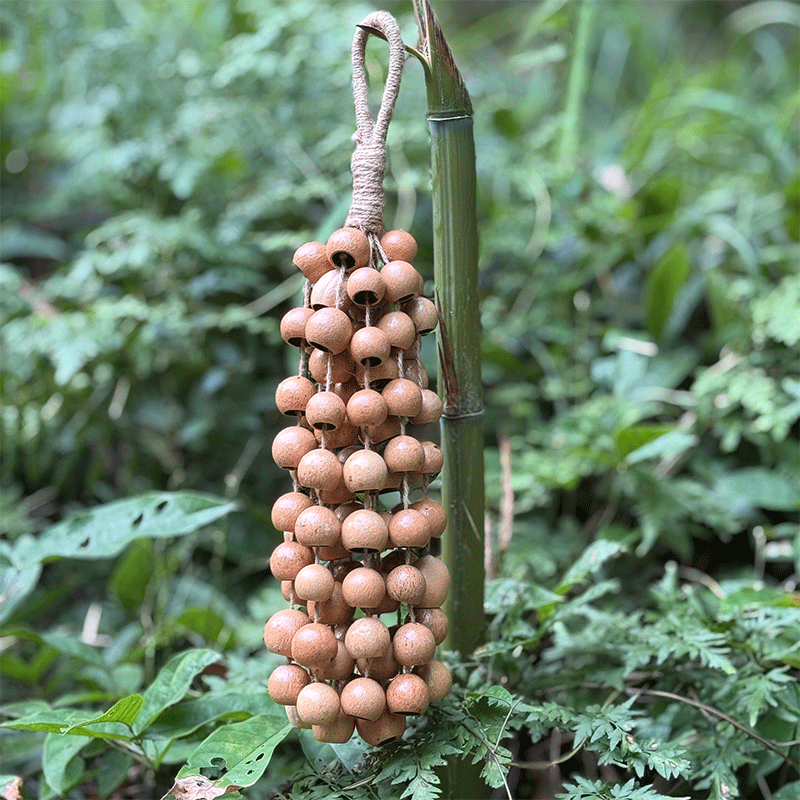 Phoenix Egg Seeds (Cycas Revoluta) Wind Chime - 12 strands natural iron tree seeds handcrafted for meditation and relaxation